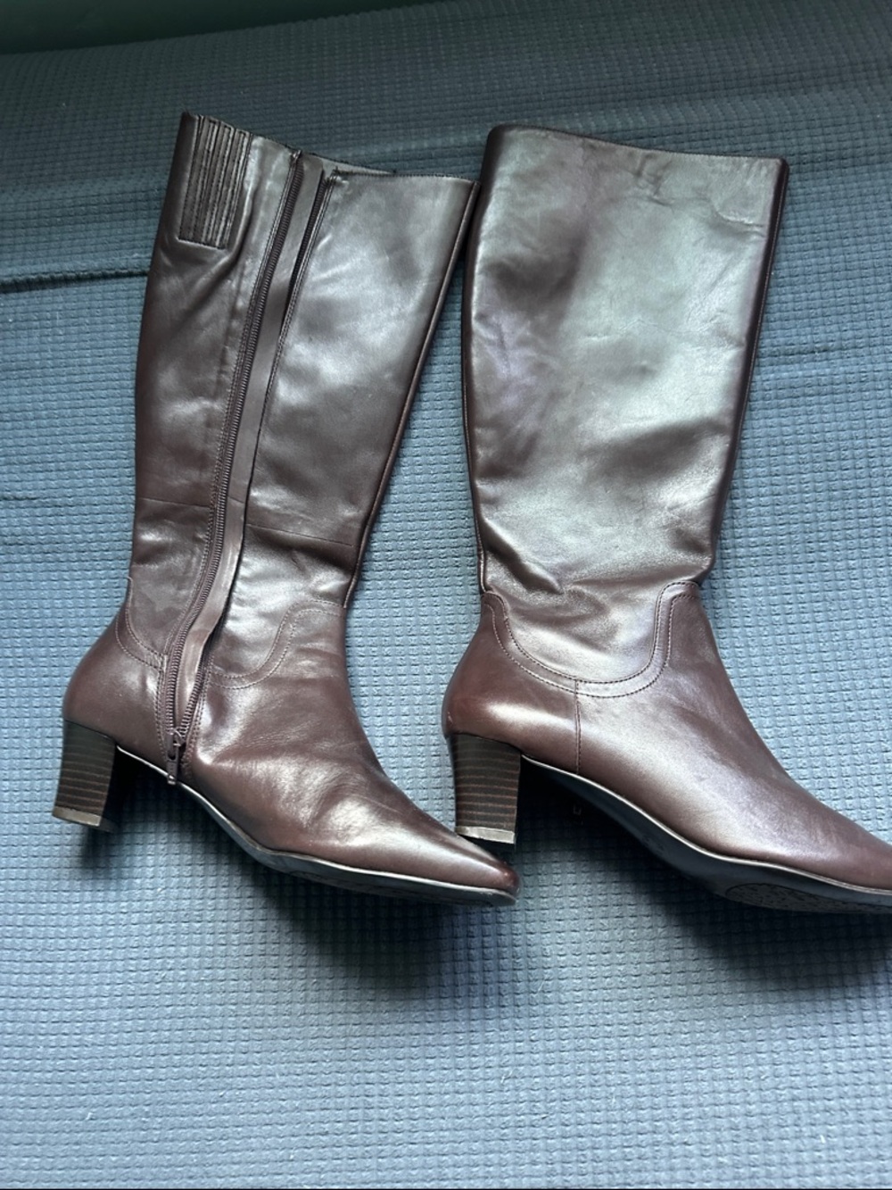 Alex Marie Brown Leather Mid-Calf Pointed Toe Heeled Boots